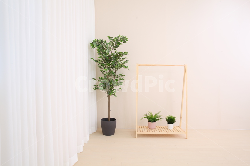 화분,옷걸이,스튜디오,커튼,베이지,그린,식물,plant,hanger