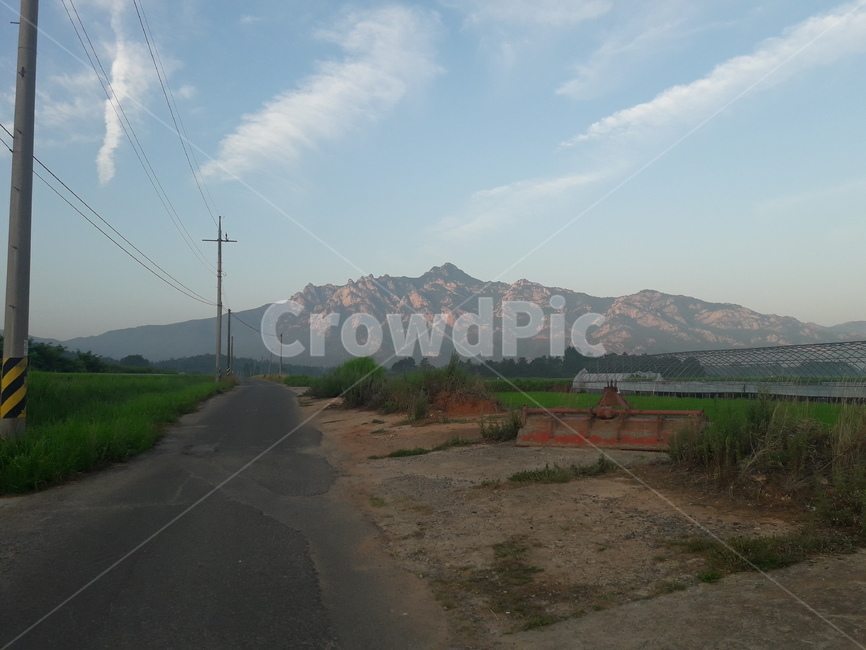 영암군,아스팔트,시골,논,산,시골,마을,풍경,landscape,country,rural,town
