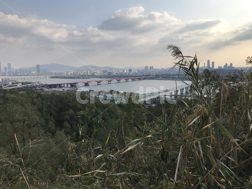 outdoors,옥외,plant,식물,초목,자연