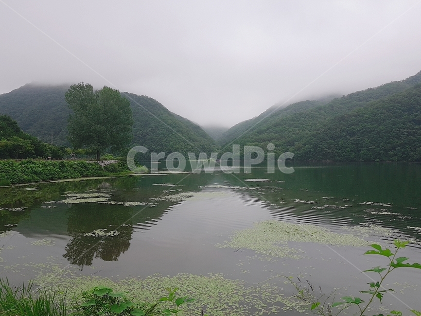 물,자연,nature,안개,강산,하늘,자연,풍경,nature,landscape