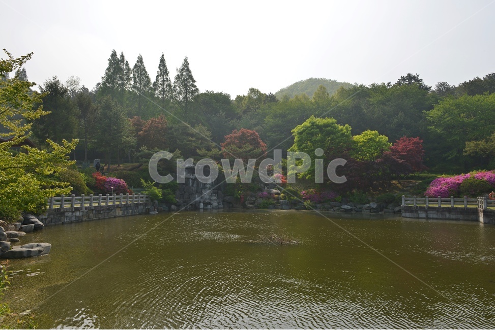 충남,대전,현충원,국립현충원,현충지,pond,못,garden,정원,연못,반영,현충지봄,철쭉,철쭉꽃,봄,계절,경치,경관,풍경,outdoors,옥외,nature,자연,water,물,plant,식물,tree,나무,정자,쉼터