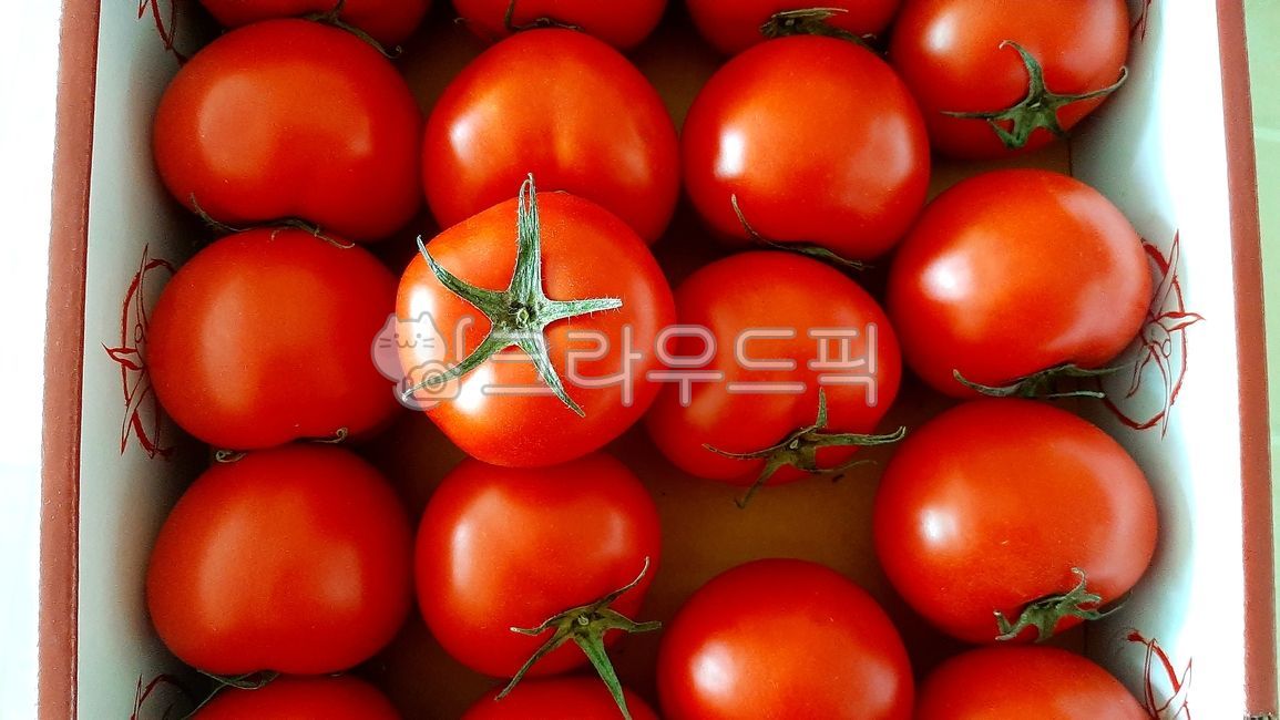 tomato sales,fruit,fruits and vegetables,plate,Box,tomato,vegetable,bowl,Red,tomato top,tile,ripe tomatoes,large tomato,Tomato packaging,red tomatoes,tomato box