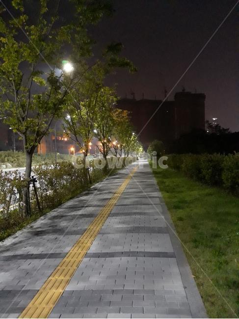 가로수,새벽,대칭,인도,한적함