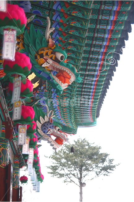 풍경,사찰,절,처마,불교,한국전통,한국문화,korean traditional,korean culture,종교,신앙,religion,belief,faith,건축물,건물외관,exterior,building,structure,architecture,construction