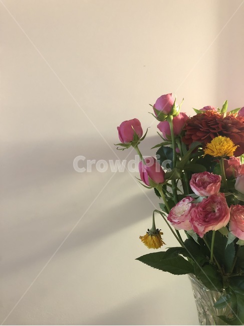 꽃,화병,꽃다발,잎,꽃잎