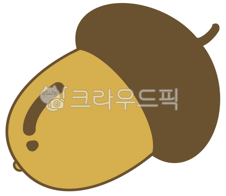도토리,너트,씨앗,곡물,nut,food,grain,seed,다람쥐먹이,도토리묵,묵사발