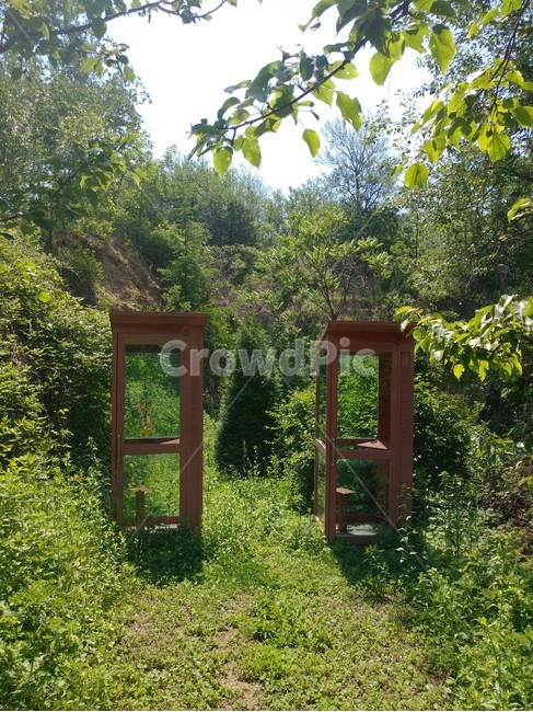 숲,공중전화,전화부스,분홍색,전화박스,푸르른,울창한,자연,풍경,nature,landscape,outdoors,옥외,garden,정원,arbour,정자,porch,현관