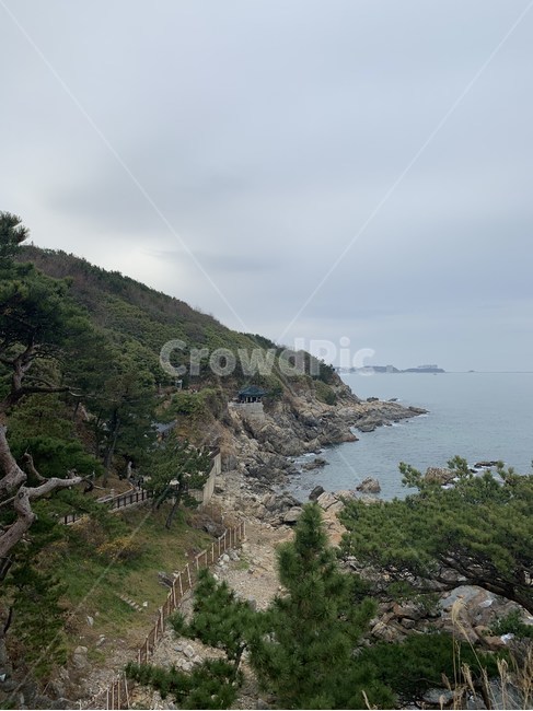 낙산사,풍경,강원도,양양,자연,산,자연,풍경,nature,landscape