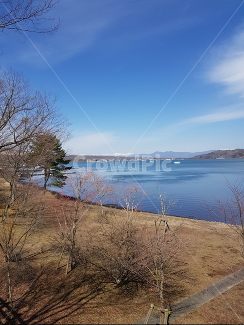 후지산호수,야마나카호수,야마나카호,나무,산,물,호수,겨울산,산중호,맑은하늘,파란하늘,물가,겨울호수