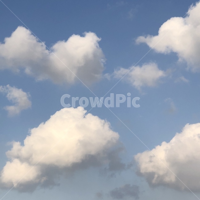 nature,자연,날씨,weather,sky,하늘,cloud,구름
