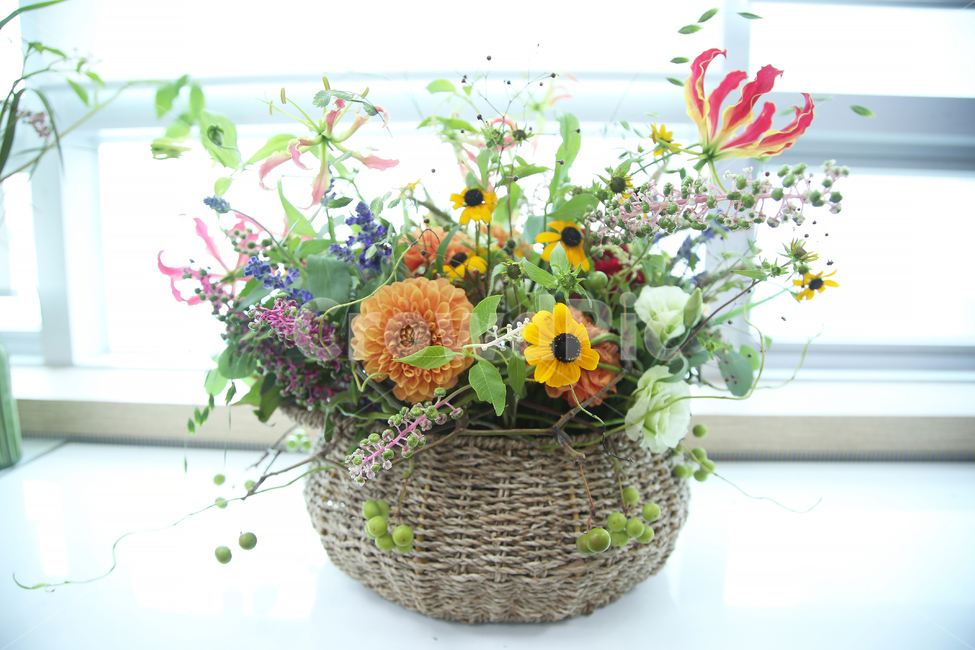 꽃바구니,다알리아,녹색,플로리스트,꽃꽂이,루드베키아,꽃,flower,실내용화초,화분,화초,house plant