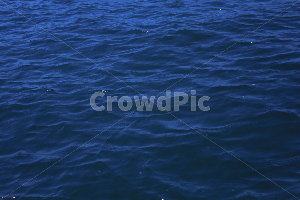 물결,바다,잔잔함,water,물,파동,wave,흐름,수면