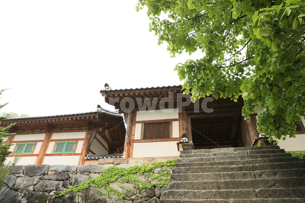 영주,부석사,사찰,전통가옥,나무,한국전통,한국문화,korean traditional,korean culture,종교,신앙,religion,belief,faith,건축물,건물외관,exterior,building,structure,architecture,construction