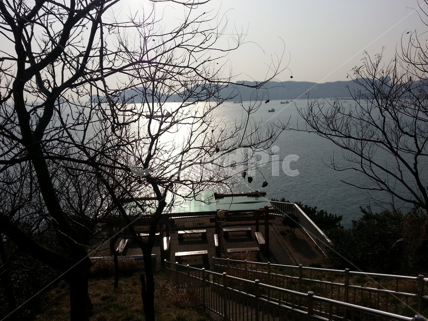 바다,호수,난간,계단,나무,오후,sea,lack,stair,tree,banister,handrail,노을,sunset
