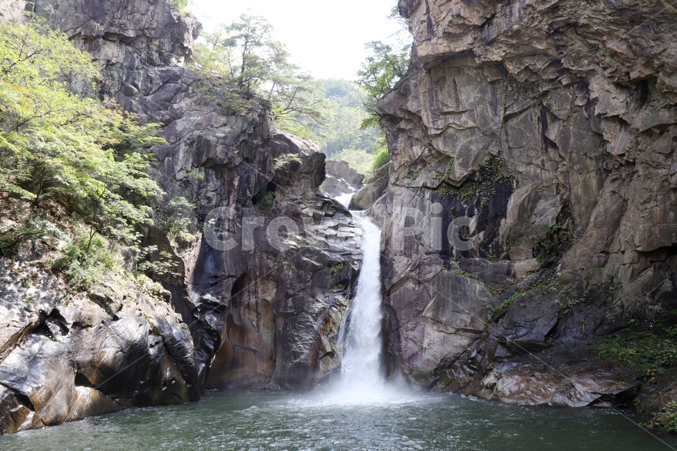 water,물,nature,자연,outdoors,옥외,river,강,waterfall,폭포,천지연폭포,천지연,포천,자연,풍경,nature,landscape