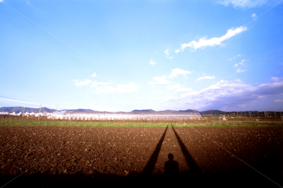 speculation,thoughts,rest,still,shadow,thought,composure,Film feel,training,film,film sensibility,film photography,Field,calm,healing,At sunset,meditation,plain,person,tranquility,silence,human