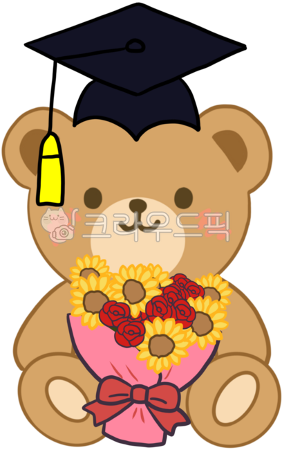 bear,doll,teddy bear,flower,bouquet,graduation cap,congratulations