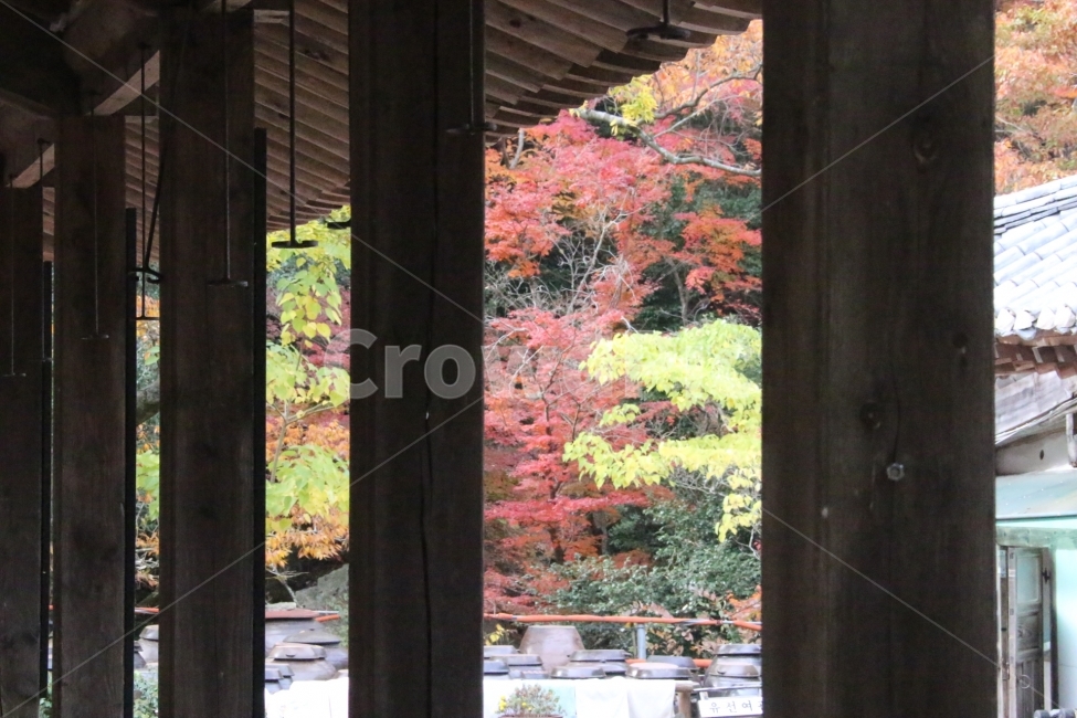 한옥,가을,툇마루,가을정원,한가롬,한국전통,한국문화,korean traditional,korean culture,건축물,건물외관,exterior,building,structure,architecture,construction