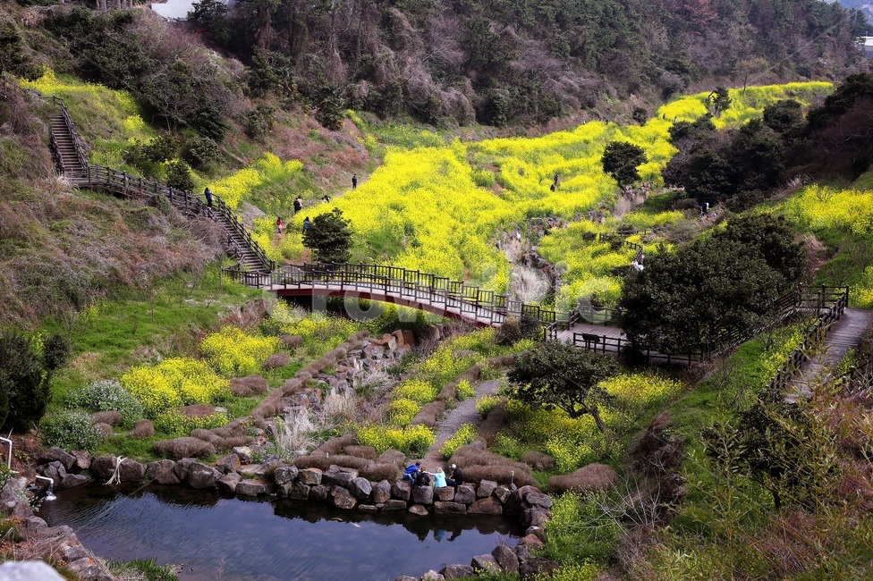 제주도,유치,엉덩이계곡,축제,구름다리,자연,전경,봄,계절,spring,season,자연,풍경,nature,landscape,outdoors,옥외,building,건물