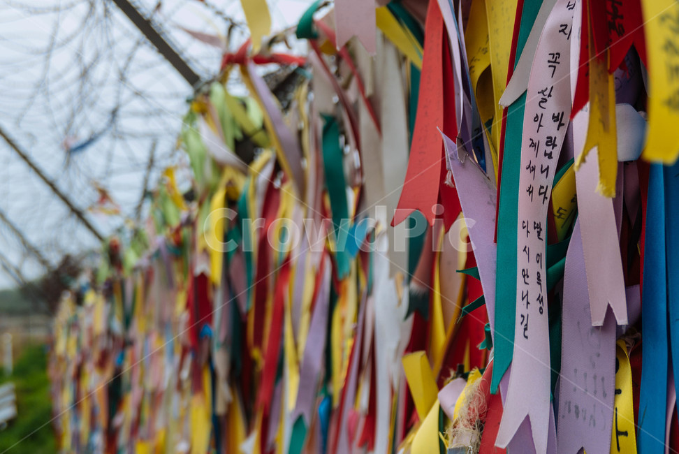 dmz,남북통일,휴전선,이산가족,비무장,화해
