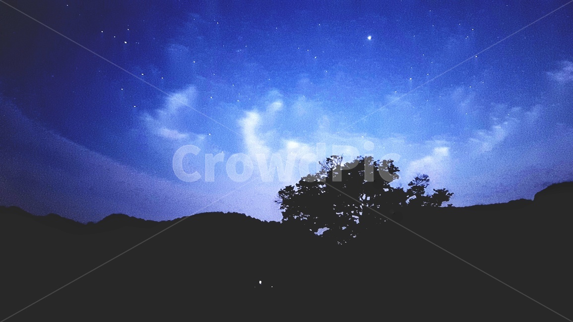 구름,별,나무,밤,은하수,빛,느티나무,nature,옥외,자연,야경,밤,풍경,nightscape,night,landscape,outdoors