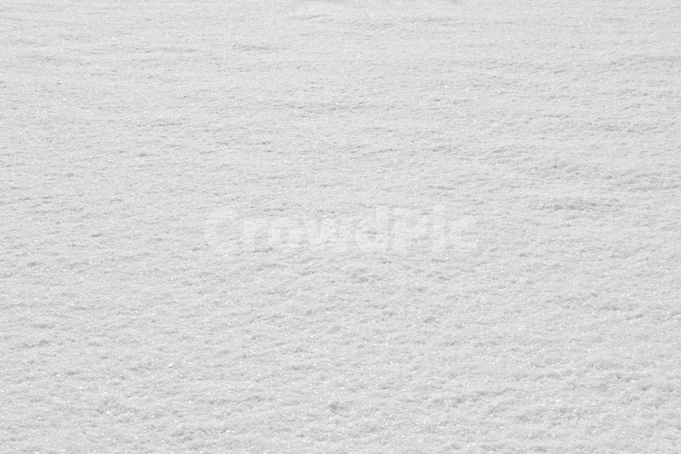 겨울,눈,눈밭,스노우,눈길,눈쌓인,폭설,자연,snow,흰색,화이트,하얀색,표면