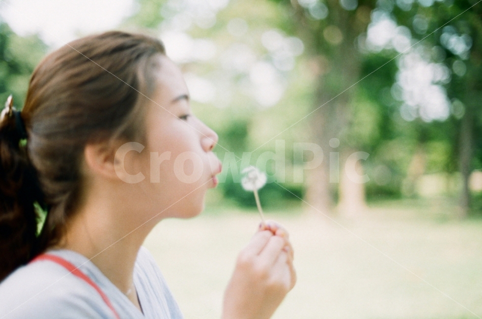 씨앗,꽃,인물사진,봄,여름,풍경,자연,옆모습,꽃씨,민들레,여자,소녀,필름사진,감성사진,personal,sensitive,summer,spring,she,flower,film,사람,인물,인간,human,person,얼굴표정,facial expression,face,여성,여자,woman,female,lady,감정표현,기분,feeling,emotion,감성,sensible,휴식,힐링,rest,relaxation,healing,연출,컨셉,콘셉,direction,concept