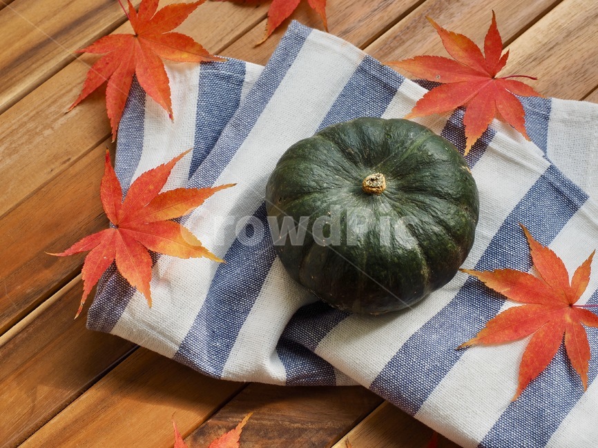 단호박,호박,단풍잎,잎사귀,가을,채소,유기농,음식,음식재료,웰빙,배경,sweetpumpkin,pumpkin,mapleleaf,leaf,autumn,vegetable,organic,food,foodingredients,wellbeing,background,가을,계절,fall,autumn,season,음식,식재료,요리,food,cook,meal,dishes,food reserves,채소,야채,vegetables,plant,식물,잎