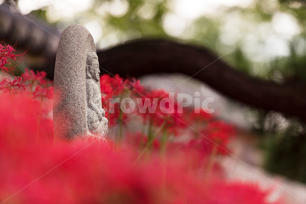 불갑사,꽃무릇축제,상사화,이별,사랑,사찰,불상,한국전통,한국문화,korean traditional,korean culture,조각상,동상,석상,조형물,statue,bronze statue,stone statue,종교,신앙,religion,belief,faith