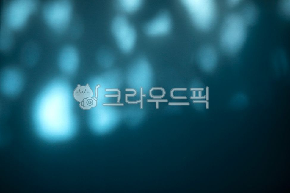 배경,빈티지,백그라운드,그림자,투영,섀도우,햇빛,햇살,오버레이,디자인소스,카피스페이스,추상적,아트,아름다운,블러,빛,패턴,반짝이다,내추럴,반사,보케,반짝반짝,나무,가지,잎,식물,디자인,벽,구성,화이트,흰색,빛나다,그늘,블루,푸른색,파랑,바다색