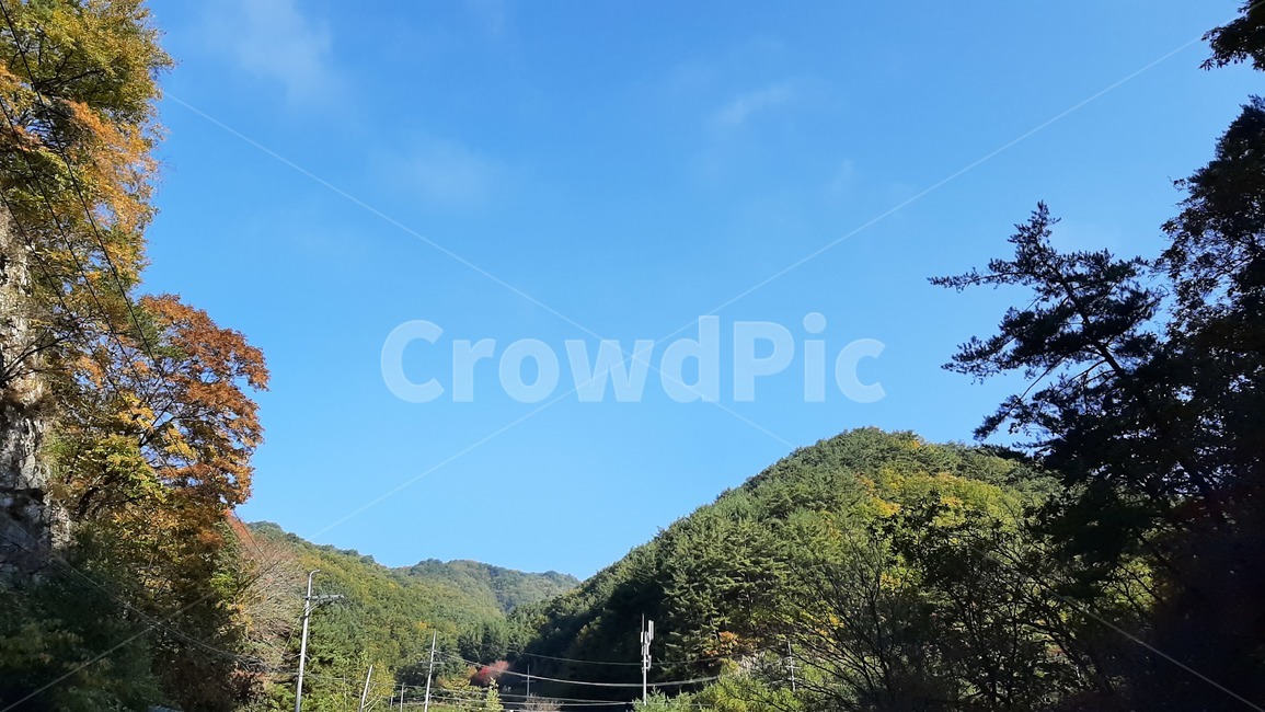 가을풍경,단풍,산행,나무,하늘,숲,풍경,자연,tree
