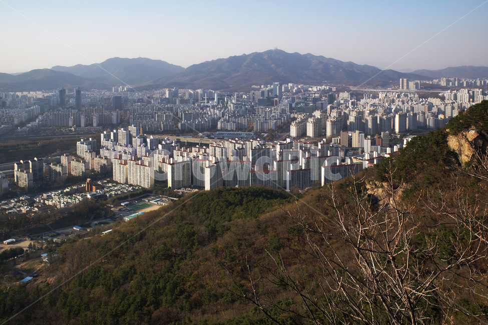 모락산,의왕시,경기도,안양시,평촌,도심풍경,건물