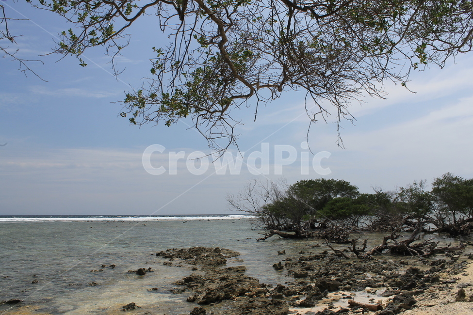 인도네시아,길리,해변,나무,나무해변,indonesia,gili,beach,beachandtree,vacation,nature,sea,고즈넉