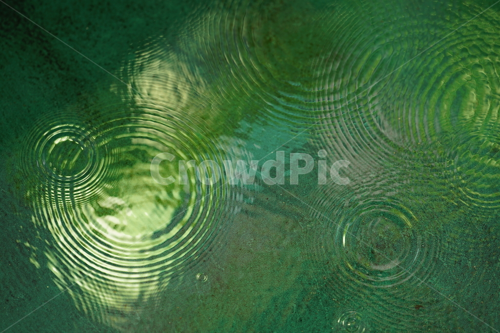 비,빗소리,빗물,감성,감성사진,장마,여름,장마철,rain,물방울,물,날씨,비,비오는날,rain,rainy