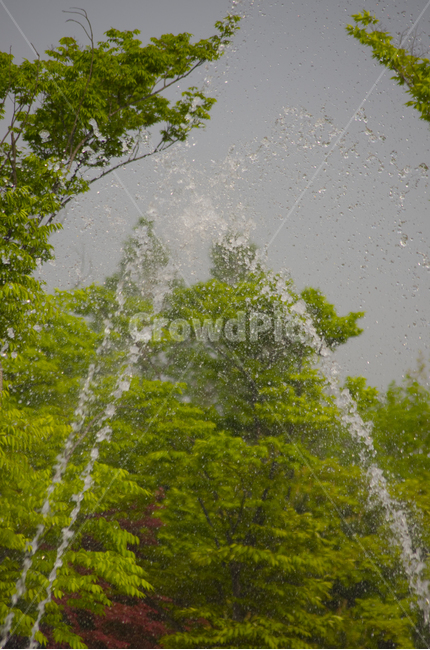 여름,분수,물,물줄기,샤워,나무,nature,season,풍경,감성,계절