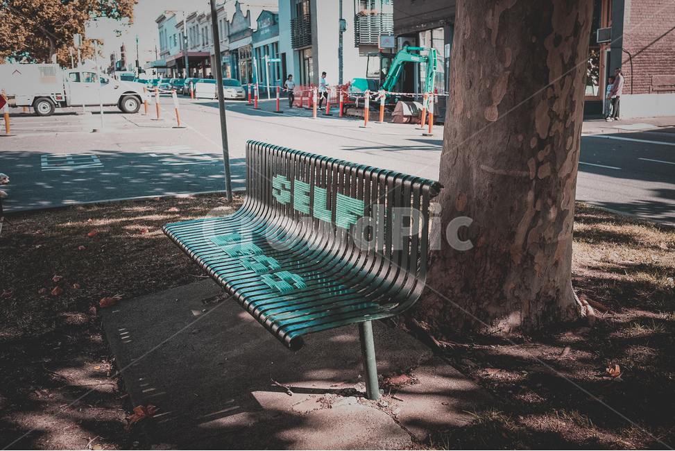 벤치,호주,멜버른,도시,의자,그늘,나무,melbourne,australia,도시,풍경,city,landscape,해외,외국,세계,foreign,oversea,world,세계도시풍경,해외도시풍경,외국도시풍경,world cityscape,furniture,가구