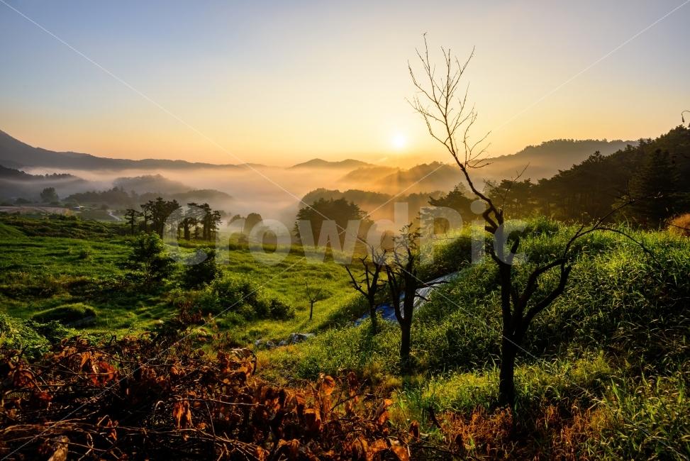 풍경,감성,일출,아침,운해,자연,풍경,nature,landscape,휴식,힐링,rest,relaxation,healing,light,빛,flare,플레어,outdoors,옥외,scenery