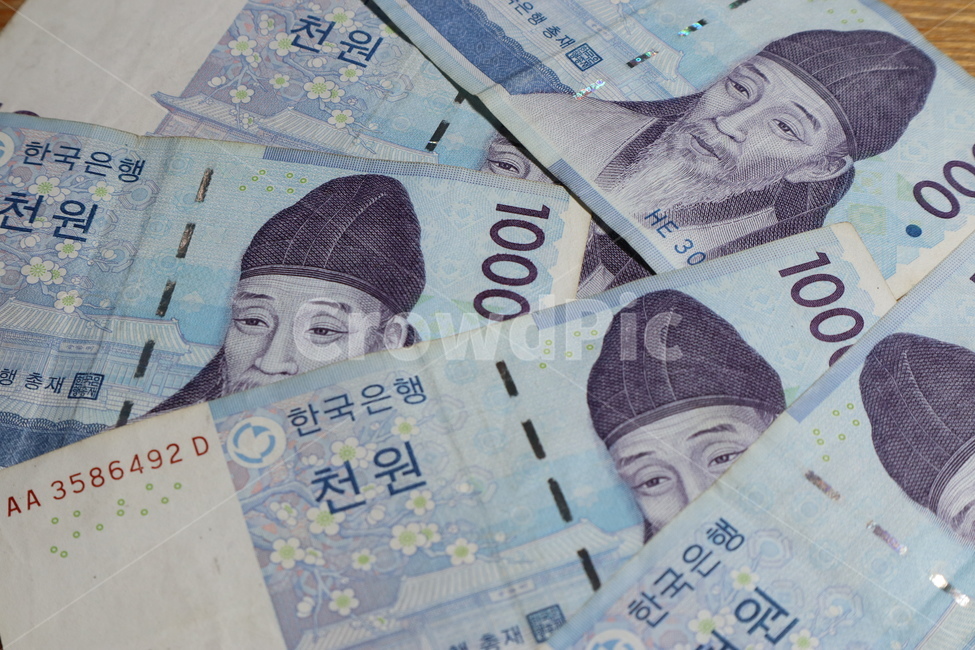 천원,이황,1000원,돈,지폐,화폐,머니,money