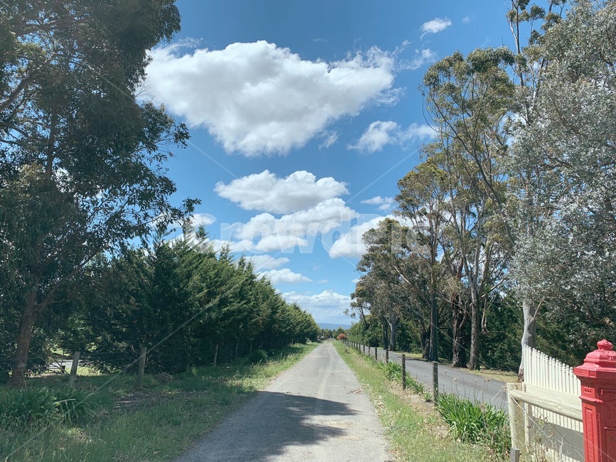 호주,멜버른,austrailia,melbourne,자연,도로