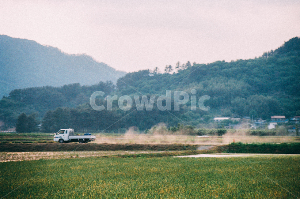 truck,트럭,시골,매연,논,풍경,평화로운,고요한,peaceful,rural,countryside,농업,농사,agriculture,farming,farming industry