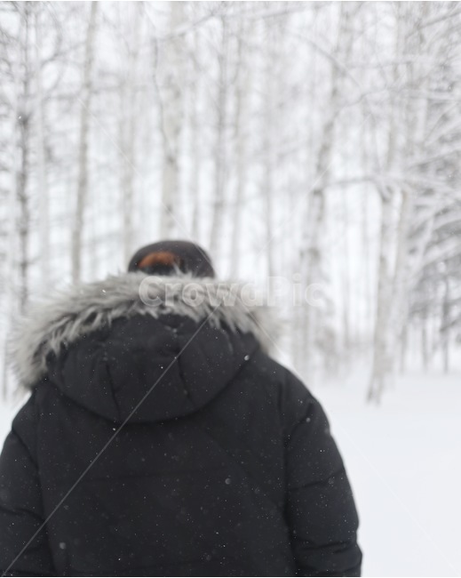 삿포로,겨울,비에이,나무,훗카이도,sapporo,snow,눈,tree,biei,winter,자연,nature,풍경,배경,landscape,japan,일본,인간,사람,남자,남성,human,person,man,패딩,일본풍경,풍경사진,뒷모습,인물,인물사진,자작나무,자작나무숲,겨울,계절,winter,season,사람,인물,인간,human,person,남성,남자,man,male,여행,휴가,traveling,vacation,trip,고독함,외로움,쓸쓸함,우울함,슬픔,lonely,solitary