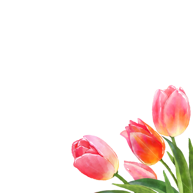꽃,일러스트,이벤트,백그라운드,세일,할인,초대장,카드,표지,편집,편집디자인,브로슈어,브로셔,비주얼,vip,럭셔리,고급,프리미엄,결혼,웨딩카드,웨딩,마음,일러스트레이션,그리기,곱다,수채화,디자인,자연,축하,아트,책,잎사귀,잎,풍성하다,분홍,핑크,잎파리,배경,봄,튤립,빨강,레드,붉다,초록,튤립축제,꽃,flower,그래픽,일러스트레이션,graphic,illustration