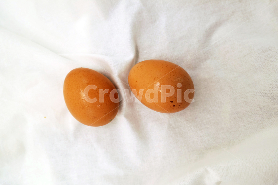 food,음식,egg,계란,알,닭알,달걀,유제품,건강,입맛,음식,식재료,요리,food,cook,meal,dishes,food reserves