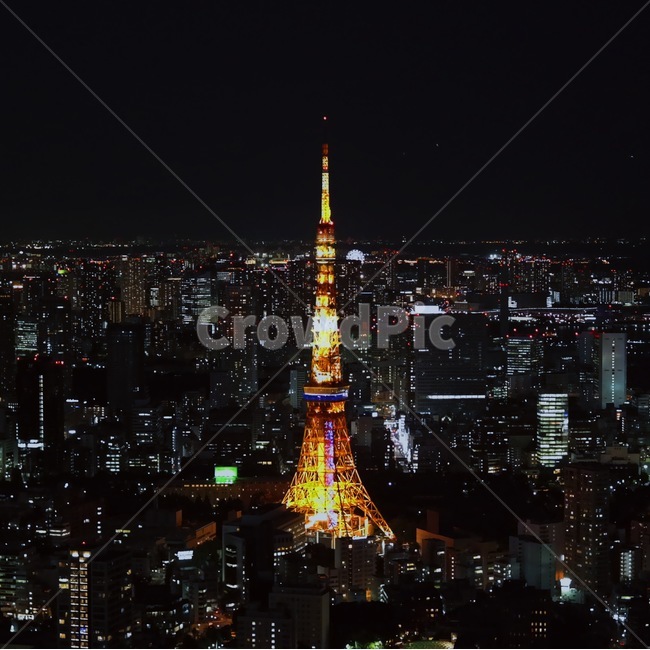 steeple,뾰족한탑,tower,탑,첨탑,spire,건축물,architecture,building,건물,nature,자연,옥외,outdoors,경치,landscape,scenery,풍경,tokyotower,tokyo도쿄타워,일본,도쿄타워,도쿄,도쿄야경