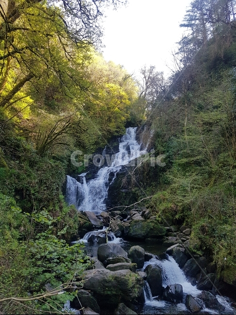 폭포,자연,환경,돌,나무,자연,풍경,nature,landscape,water,물,outdoors,옥외,river,강