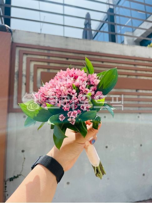 부케,부바르디아,핑크부바르디아부케,핑크부바르디아,꽃다발,flowerbouquet,flower,꽃