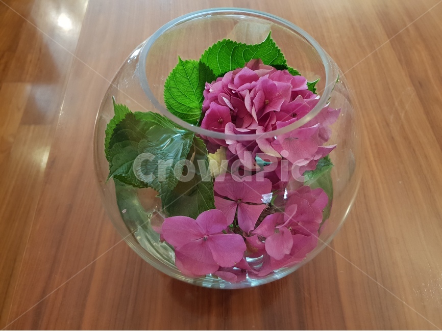 꽃,식물,화초,flower,꽃꽂이,분홍꽃,조화,실내용화초,화분,화초,house plant