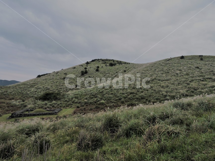 오름,용눈이오름,갈대,봉우리,언덕,자연,풍경,nature,landscape,한국자연풍경,한국자연경관,korea nature landscape,제주도,jeju,jeju island,outdoors,옥외,grassland,목초지,field,들,hill,slope,경사