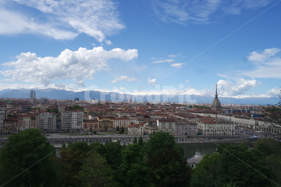 이탈리아,토리노,투린,italy,turin,torino