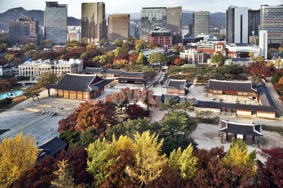 덕수궁,궁궐,가을,자연,도심,중화전,건물,빌딩,한국전통,한국문화,korean traditional,korean culture